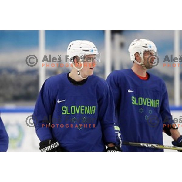 of Slovenia ice-hockey team during practice session in Bled Ice Hall on November 4, 2019