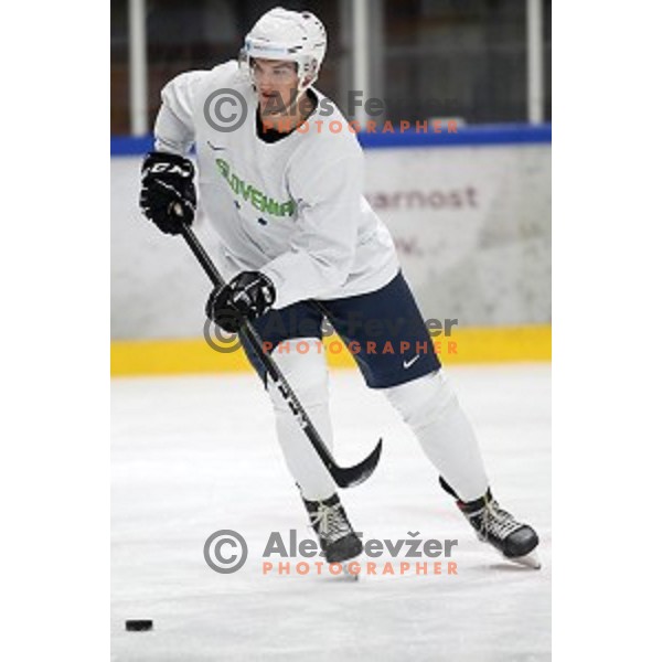 of Slovenia ice-hockey team during practice session in Bled Ice Hall on November 4, 2019