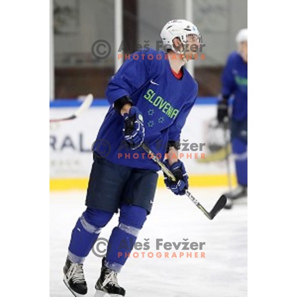 of Slovenia ice-hockey team during practice session in Bled Ice Hall on November 4, 2019