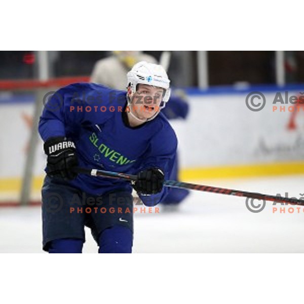 of Slovenia ice-hockey team during practice session in Bled Ice Hall on November 4, 2019