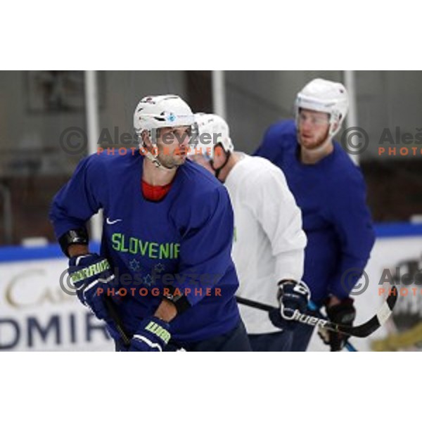 of Slovenia ice-hockey team during practice session in Bled Ice Hall on November 4, 2019