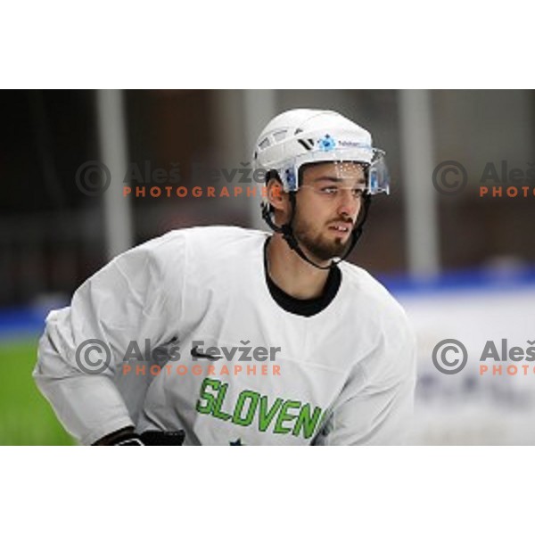 Gregor Koblar of Slovenia ice-hockey team during practice session in Bled Ice Hall on November 4, 2019