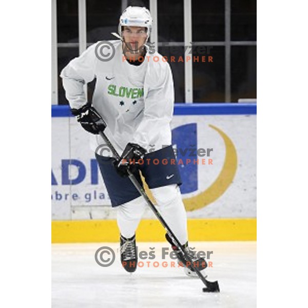 of Slovenia ice-hockey team during practice session in Bled Ice Hall on November 4, 2019