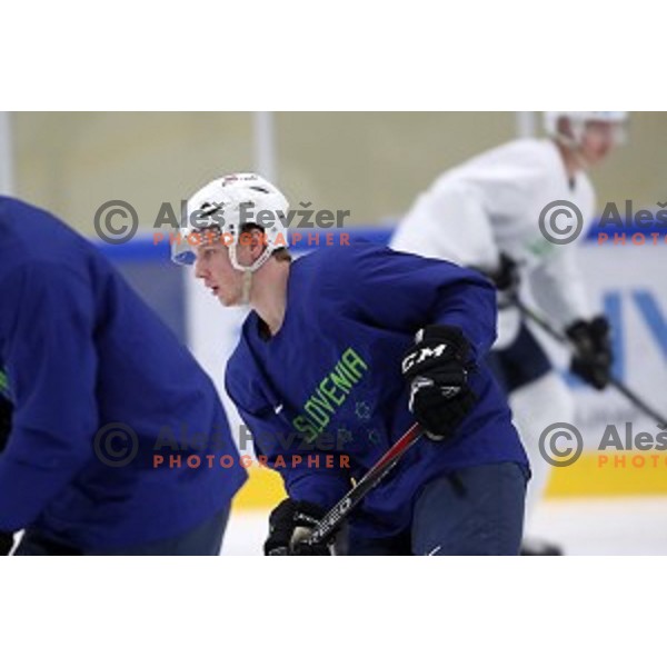 of Slovenia ice-hockey team during practice session in Bled Ice Hall on November 4, 2019