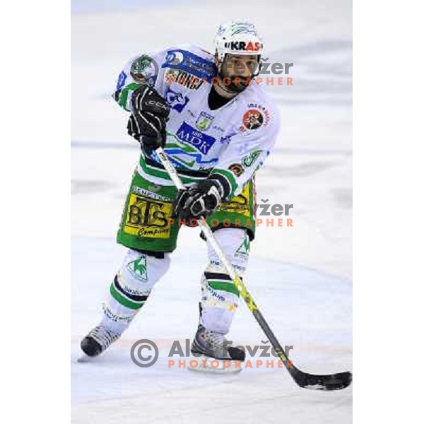 Rafaele Intranuovo at EBEL league fourth game of Semi-final of Ebel league, ZM Olimpija - Blackwings LINZ, Tivoli, Ljubljana 