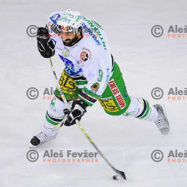 Rafaele Intranuovo at EBEL league fourth game of Semi-final of Ebel league, ZM Olimpija - Blackwings LINZ, Tivoli, Ljubljana 
