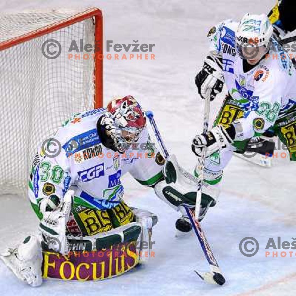 Alex Westlund at EBEL league fourth game of Semi-final of Ebel league, ZM Olimpija - Blackwings LINZ, Tivoli, Ljubljana 