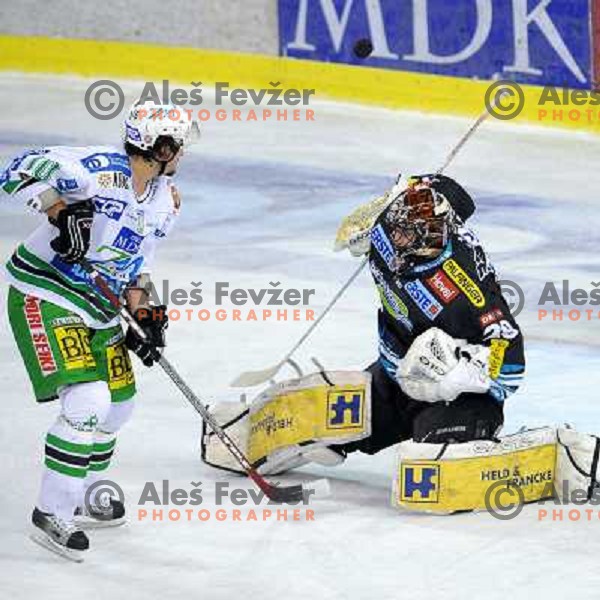 Brendan Yarema at EBEL league fourth game of Semi-final of Ebel league, ZM Olimpija - Blackwings LINZ, Tivoli, Ljubljana 