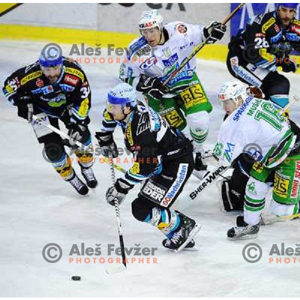 Egon Muric and Ales Music at EBEL league fourth game of Semi-final of Ebel league, ZM Olimpija - Blackwings LINZ, Tivoli, Ljubljana 