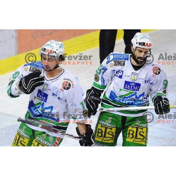 Rafaele Intranuovo and Brenda Yarema at EBEL league fourth game of Semi-final of Ebel league, ZM Olimpija - Blackwings LINZ, Tivoli, Ljubljana 