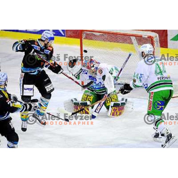 Alex Westlund at EBEL league fourth game of Semi-final of Ebel league, ZM Olimpija - Blackwings LINZ, Tivoli, Ljubljana 