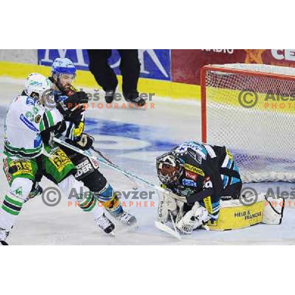 Ziga Pavlin at EBEL league fourth game of Semi-final of Ebel league, ZM Olimpija - Blackwings LINZ, Tivoli, Ljubljana 