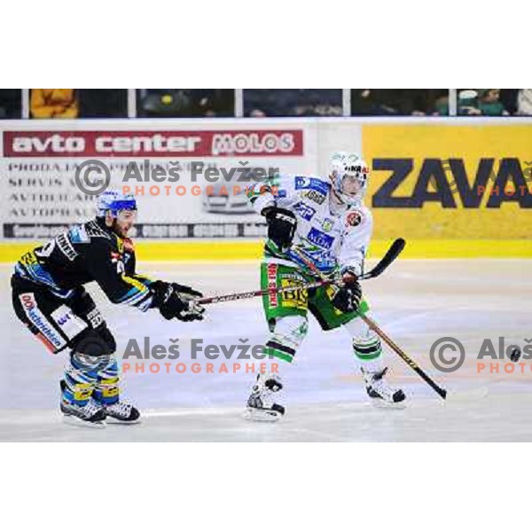 Andrej Tavzelj at EBEL league fourth game of Semi-final of Ebel league, ZM Olimpija - Blackwings LINZ, Tivoli, Ljubljana 