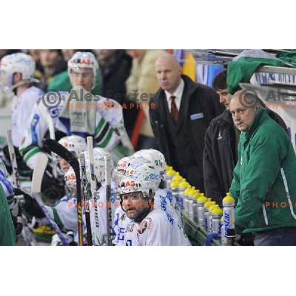 Olimpija bench at EBEL league fourth game of Semi-final of Ebel league, ZM Olimpija - Blackwings LINZ, Tivoli, Ljubljana 