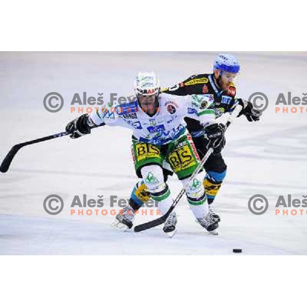 Todd Elik at EBEL league fourth game of Semi-final of Ebel league, ZM Olimpija - Blackwings LINZ, Tivoli, Ljubljana 