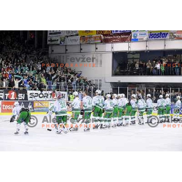 Olimpija fans and Olimpija team at EBEL league fourth game of Semi-final of Ebel league, ZM Olimpija - Blackwings LINZ, Tivoli, Ljubljana 