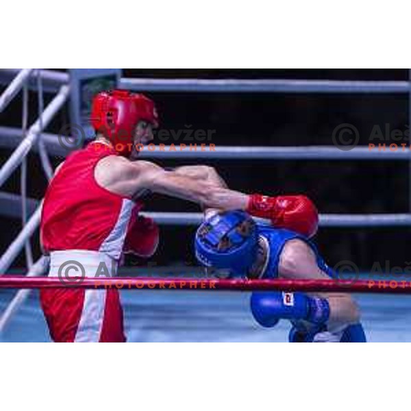 National championship in boxing at USC Leona Stuklja, Maribor, Slovenia on November 23, 2019