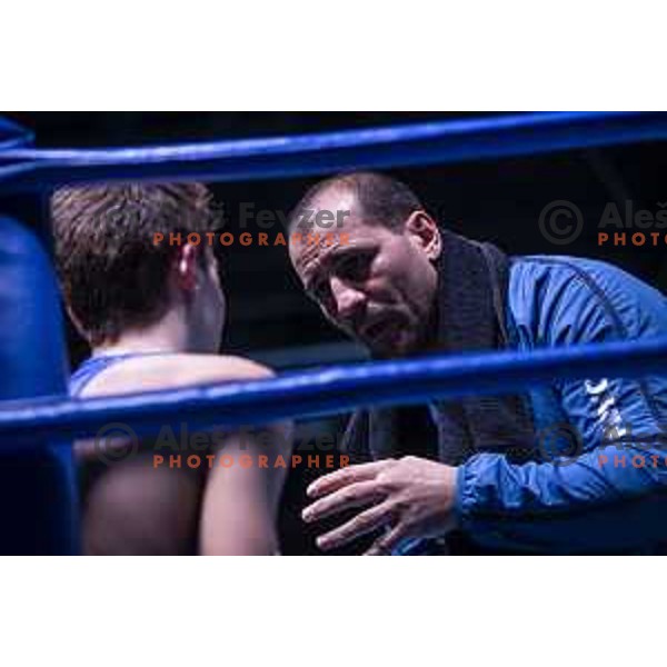 National championship in boxing at USC Leona Stuklja, Maribor, Slovenia on November 23, 2019