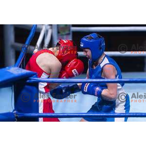 National championship in boxing at USC Leona Stuklja, Maribor, Slovenia on November 23, 2019