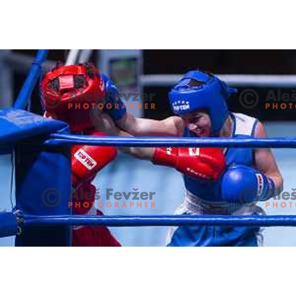 National championship in boxing at USC Leona Stuklja, Maribor, Slovenia on November 23, 2019