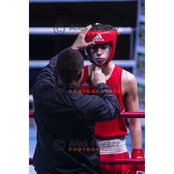 National championship in boxing at USC Leona Stuklja, Maribor, Slovenia on November 23, 2019