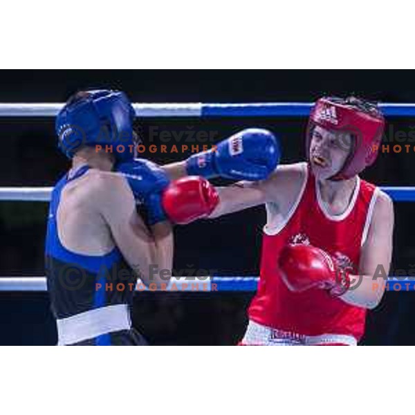 National championship in boxing at USC Leona Stuklja, Maribor, Slovenia on November 23, 2019