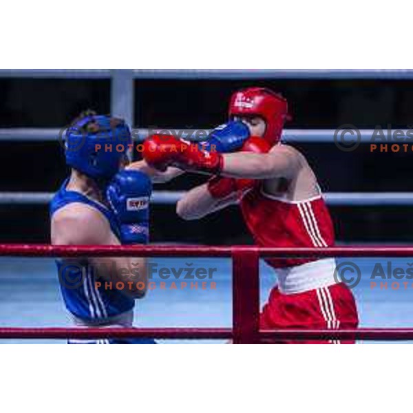 National championship in boxing at USC Leona Stuklja, Maribor, Slovenia on November 23, 2019