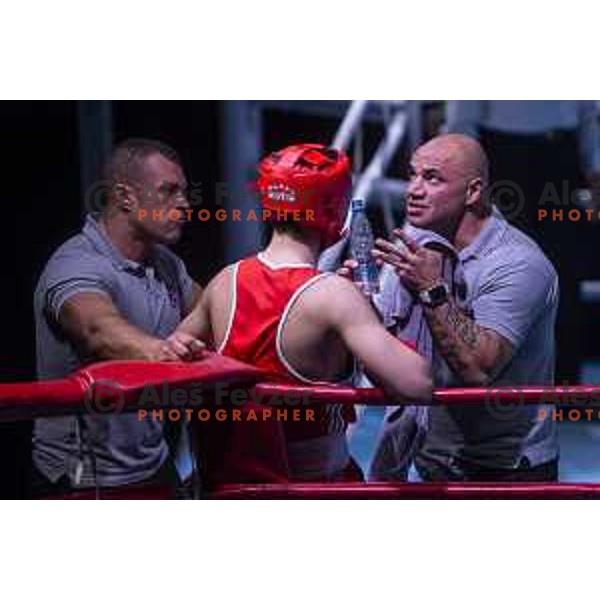 National championship in boxing at USC Leona Stuklja, Maribor, Slovenia on November 23, 2019