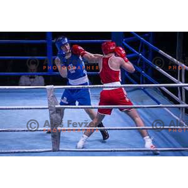 National championship in boxing at USC Leona Stuklja, Maribor, Slovenia on November 23, 2019