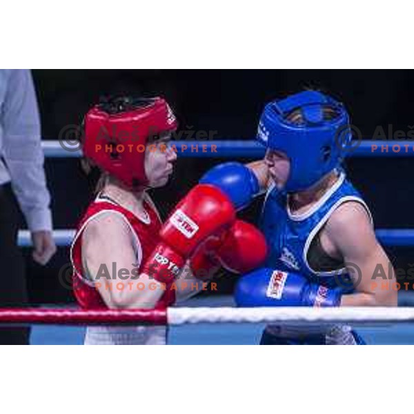 National championship in boxing at USC Leona Stuklja, Maribor, Slovenia on November 23, 2019