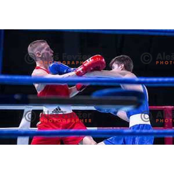 National championship in boxing at USC Leona Stuklja, Maribor, Slovenia on November 23, 2019