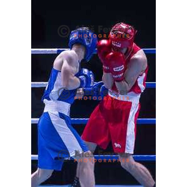 National championship in boxing at USC Leona Stuklja, Maribor, Slovenia on November 23, 2019