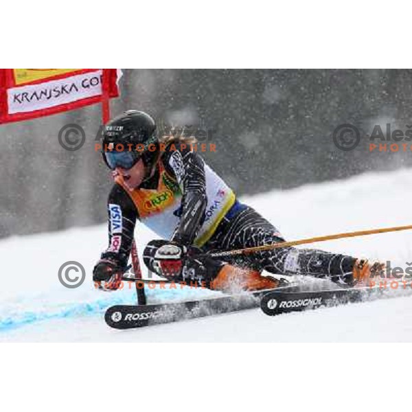 Ted Ligety (USA) 