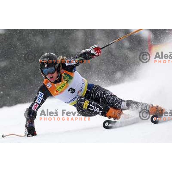 Ted Ligety (USA) 