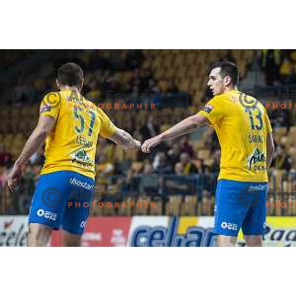 in action during Slovenia Cup 2019/20 handball match between RK Celje Pivovarna Lasko and Riko Ribnica in Arena Zlatorog, Celje, Slovenia on December 18, 2019