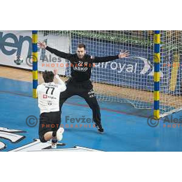 Klemen Ferlin in action during Slovenia Cup 2019/20 handball match between RK Celje Pivovarna Lasko and Riko Ribnica in Arena Zlatorog, Celje, Slovenia on December 18, 2019
