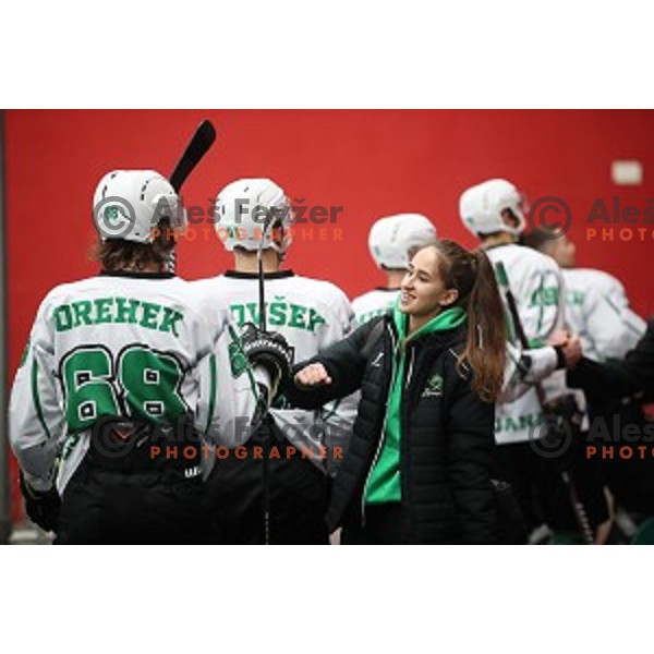 action during Alps league ice-hockey match between Acroni Jesenice and SZ Olimpija in Podmezakla Hall, Jesenice, Slovenia on December 20, 2019
