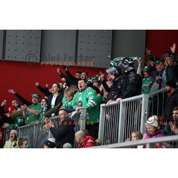 action during Alps league ice-hockey match between Acroni Jesenice and SZ Olimpija in Podmezakla Hall, Jesenice, Slovenia on December 20, 2019