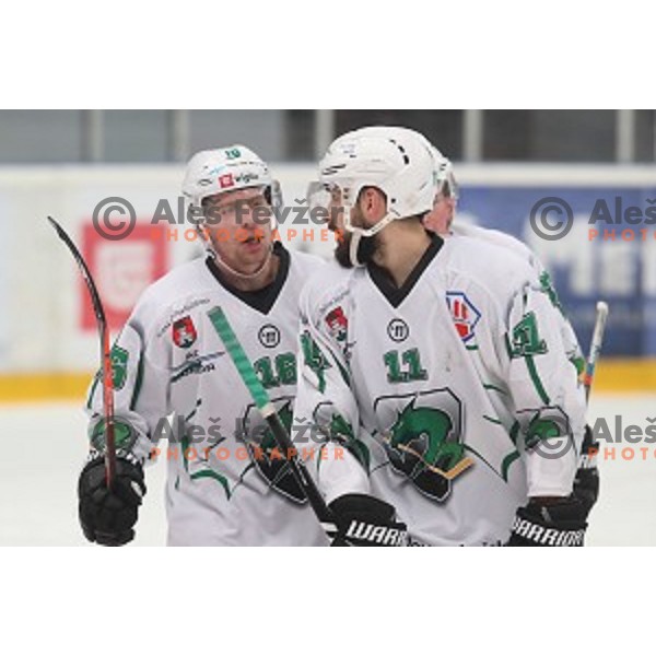 Ales Music in action during Alps league ice-hockey match between Acroni Jesenice and SZ Olimpija in Podmezakla Hall, Jesenice, Slovenia on December 20, 2019