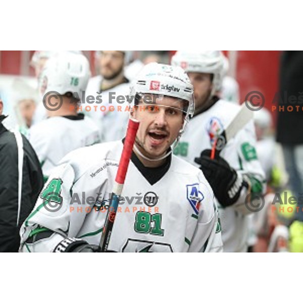 action during Alps league ice-hockey match between Acroni Jesenice and SZ Olimpija in Podmezakla Hall, Jesenice, Slovenia on December 20, 2019