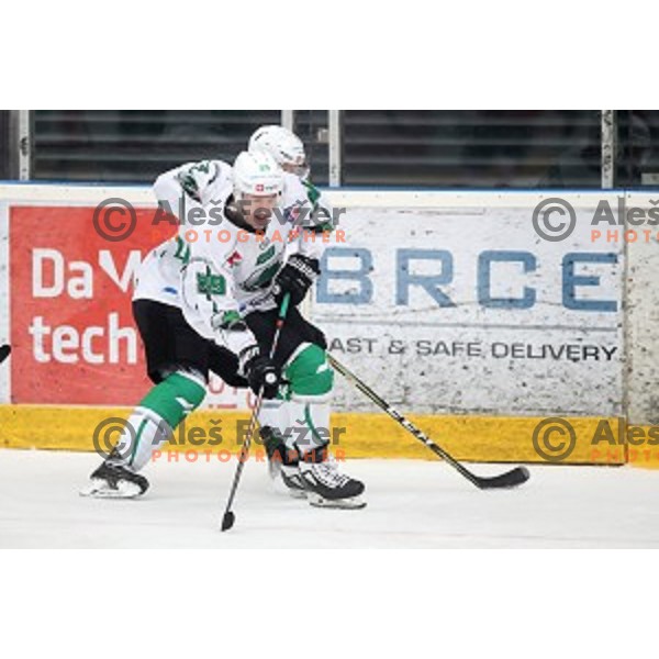 action during Alps league ice-hockey match between Acroni Jesenice and SZ Olimpija in Podmezakla Hall, Jesenice, Slovenia on December 20, 2019