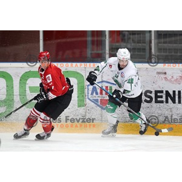 Nik Simsic in action during Alps league ice-hockey match between Acroni Jesenice and SZ Olimpija in Podmezakla Hall, Jesenice, Slovenia on December 20, 2019