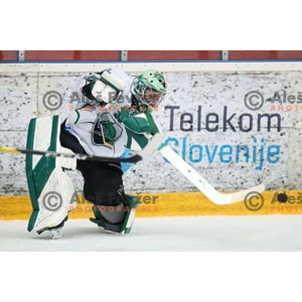 Zan Us in action during Alps league ice-hockey match between Acroni Jesenice and SZ Olimpija in Podmezakla Hall, Jesenice, Slovenia on December 20, 2019