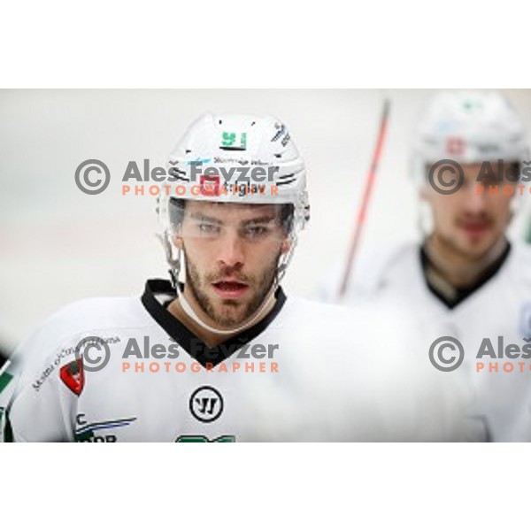 Zan Jezovsek in action during Alps league ice-hockey match between Acroni Jesenice and SZ Olimpija in Podmezakla Hall, Jesenice, Slovenia on December 20, 2019