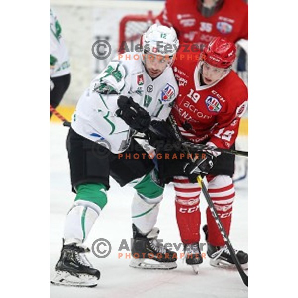 Nik Simsic in action during Alps league ice-hockey match between Acroni Jesenice and SZ Olimpija in Podmezakla Hall, Jesenice, Slovenia on December 20, 2019