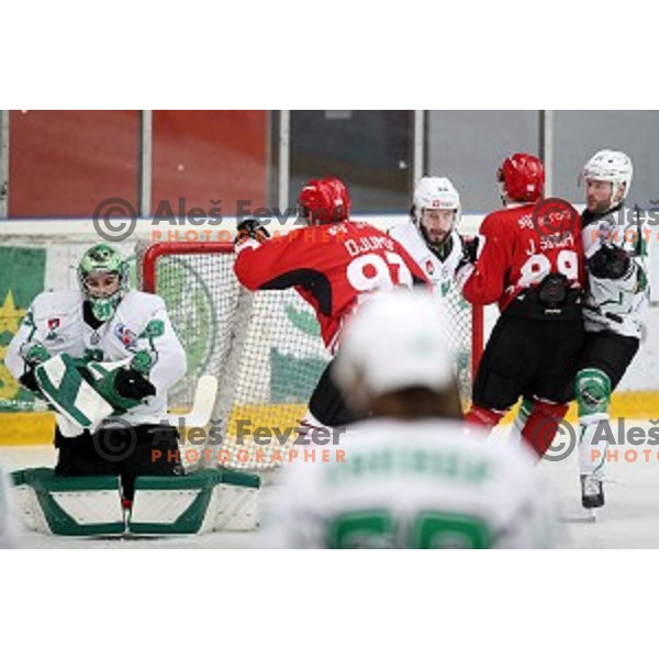 Zan Us in action during Alps league ice-hockey match between Acroni Jesenice and SZ Olimpija in Podmezakla Hall, Jesenice, Slovenia on December 20, 2019