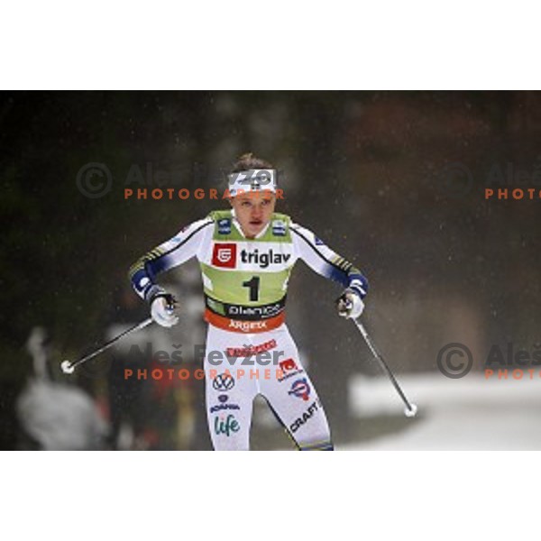 Linn Svahn (SWE) during Ladies Spritn Free at FIS Cross-country Sprint World Cup Qualification in Planica, Slovenia on December 21, 2019