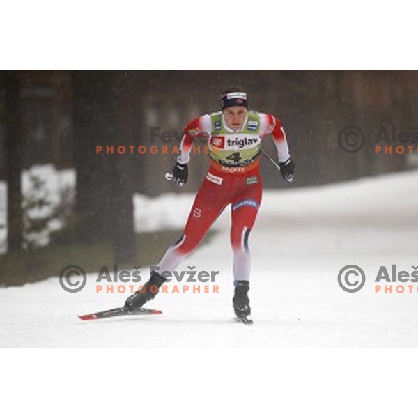 Tiril Udnes Weng (NOR) during Ladies Sprint Free at FIS Cross-country Sprint World Cup Qualification in Planica, Slovenia on December 21, 2019