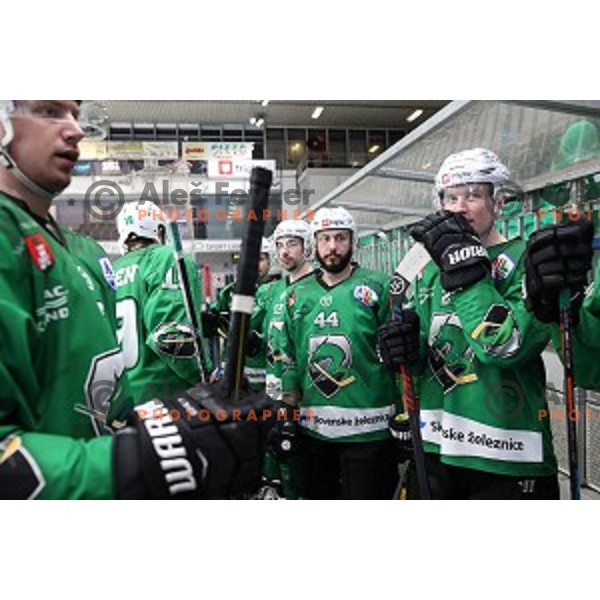 David Planko of SZ Olimpija in action during Alps League regular season ice-hockey match between SZ Olimpija and Asiago in Tivoli Hall, Ljubljana, Slovenia on December 21, 2019