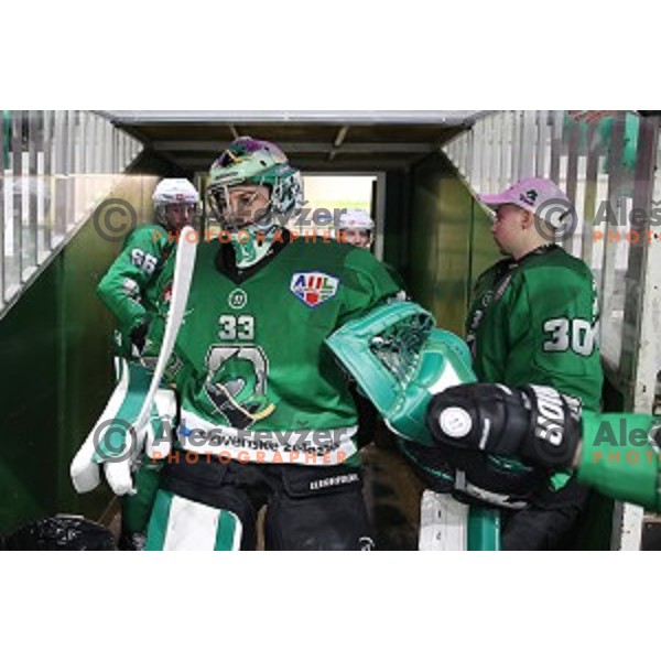 Zan Us of SZ Olimpija in action during Alps League regular season ice-hockey match between SZ Olimpija and Asiago in Tivoli Hall, Ljubljana, Slovenia on December 21, 2019